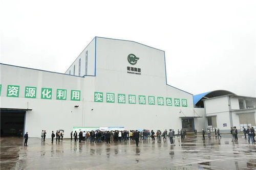 石膏新紀(jì)元 走進(jìn)優(yōu)質(zhì)石膏工廠，見(jiàn)證機(jī)械化施工的力量